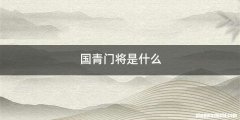 国青门将是什么