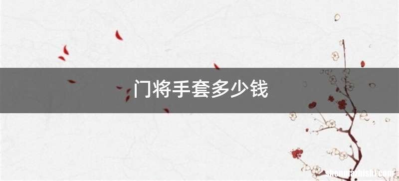 门将手套多少钱