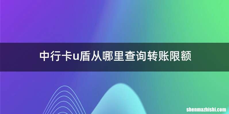 中行卡u盾从哪里查询转账限额