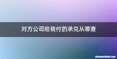 对方公司给我付的承兑从哪查
