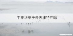 中栗华栗子是天津特产吗