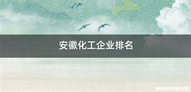 安徽化工企业排名