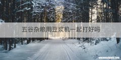 五谷杂粮用豆浆机一起打好吗