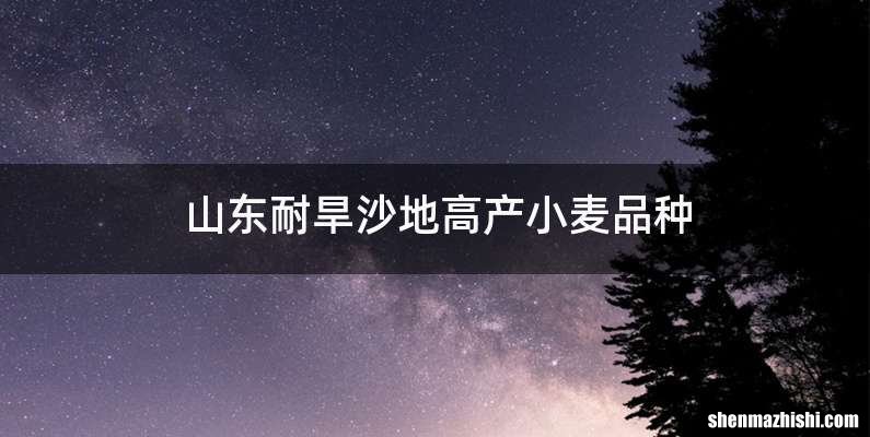 山东耐旱沙地高产小麦品种