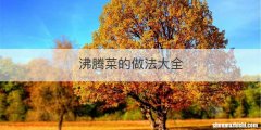 沸腾菜的做法大全