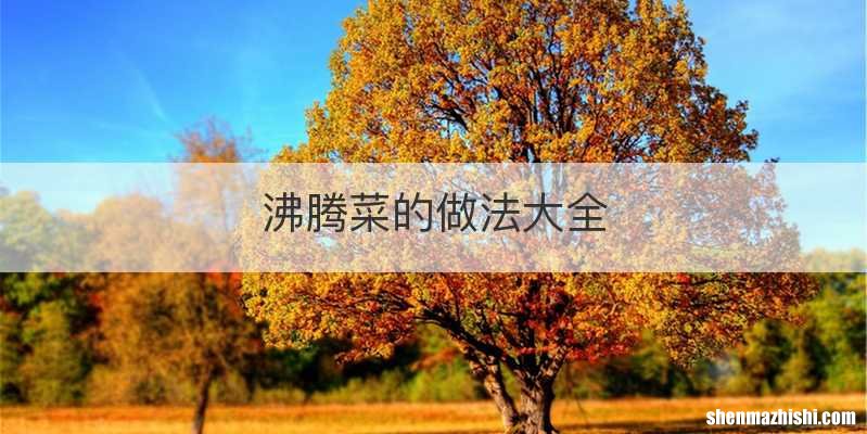 沸腾菜的做法大全