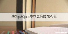 华为p30pro麦克风故障怎么办