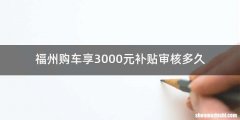 福州购车享3000元补贴审核多久