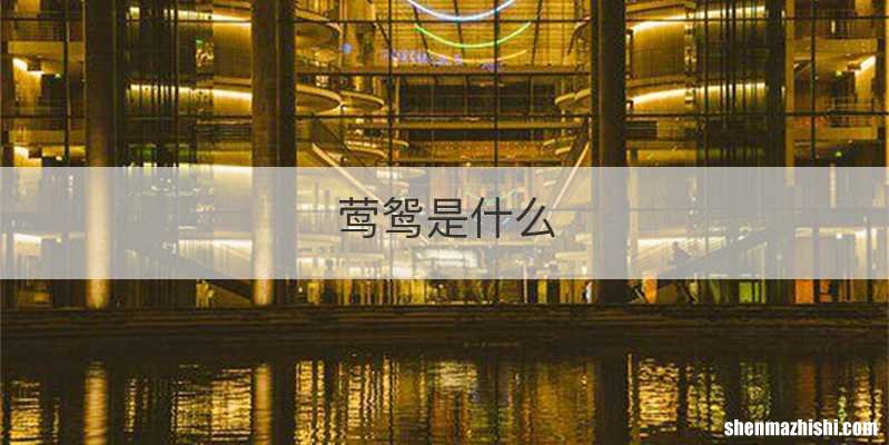 莺鸳是什么