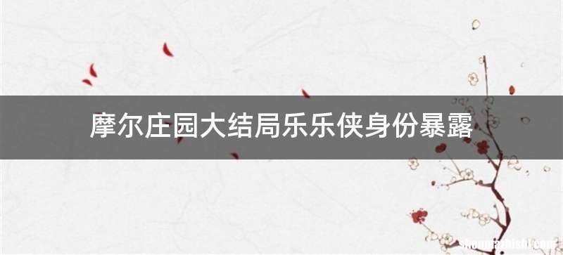 摩尔庄园大结局乐乐侠身份暴露