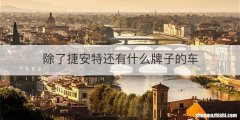除了捷安特还有什么牌子的车