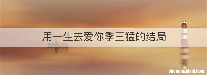 用一生去爱你季三猛的结局