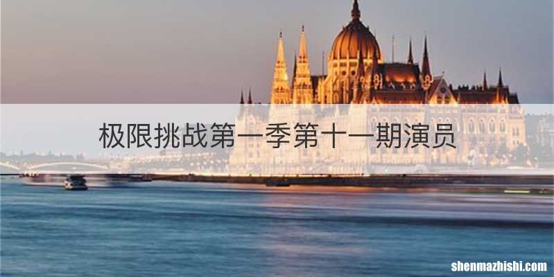 极限挑战第一季第十一期演员