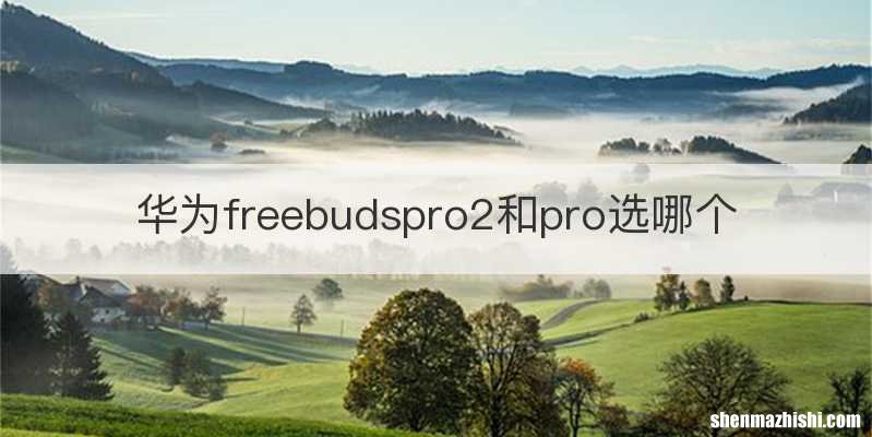华为freebudspro2和pro选哪个