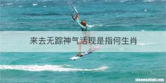 来去无踪神气活现是指何生肖