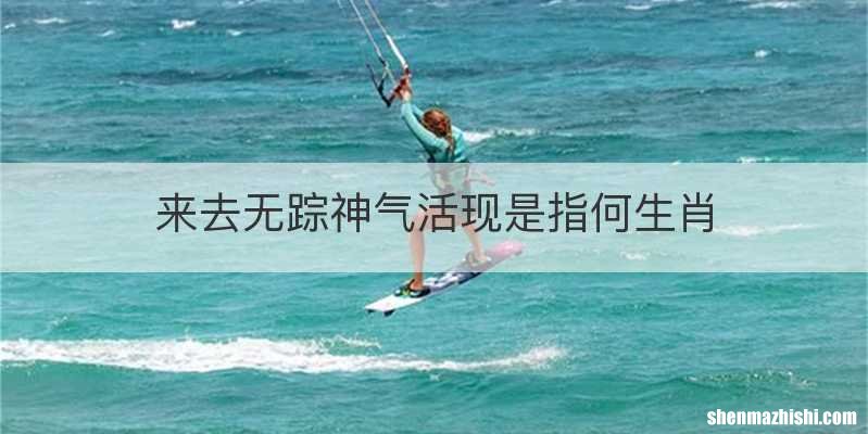 来去无踪神气活现是指何生肖