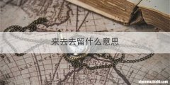 来去去留什么意思