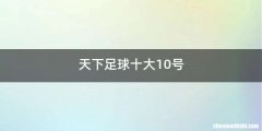 天下足球十大10号