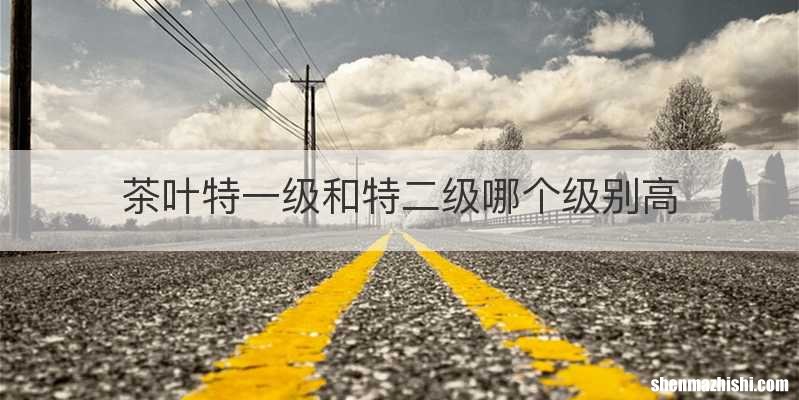 茶叶特一级和特二级哪个级别高