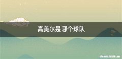 高美尔是哪个球队