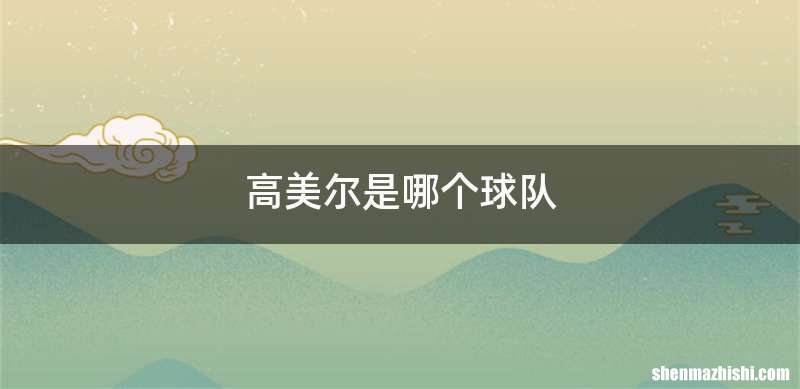 高美尔是哪个球队