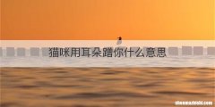 猫咪用耳朵蹭你什么意思