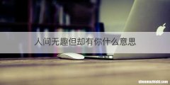 人间无趣但却有你什么意思