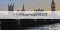 华为畅享20Pro如何看温度