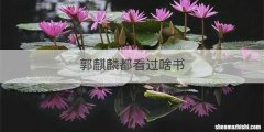 郭麒麟都看过啥书