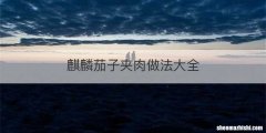 麒麟茄子夹肉做法大全