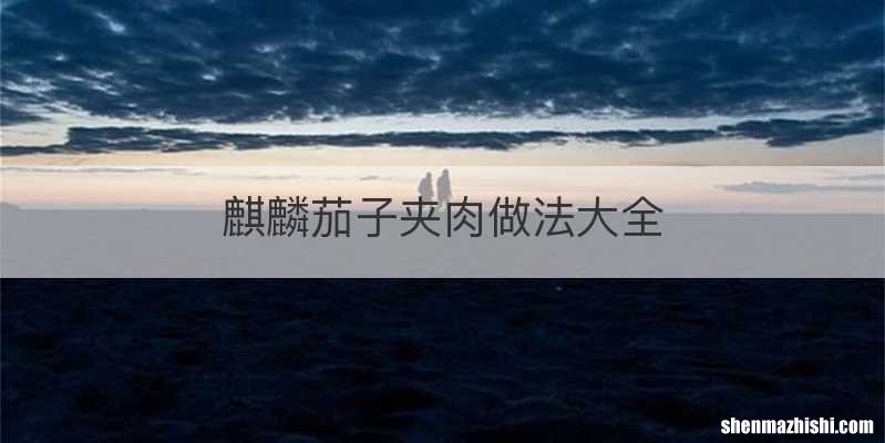 麒麟茄子夹肉做法大全