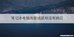 笔记本电脑有限线鼠标没有响应