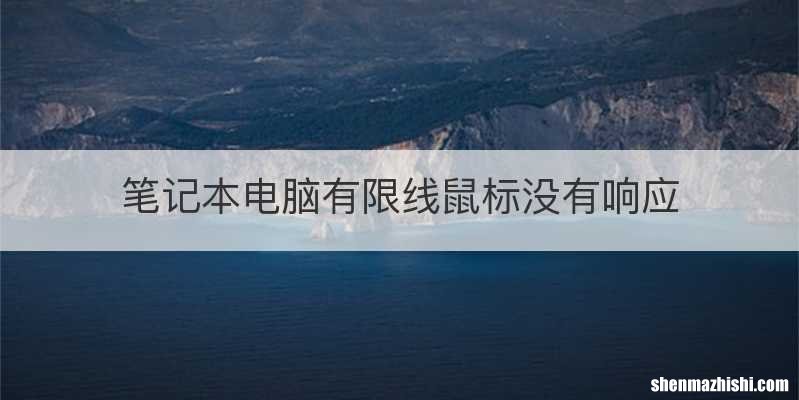 笔记本电脑有限线鼠标没有响应