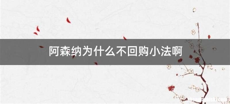 阿森纳为什么不回购小法啊