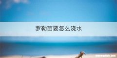 罗勒苗要怎么浇水