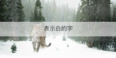 表示白的字
