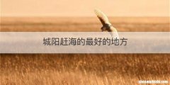 城阳赶海的最好的地方