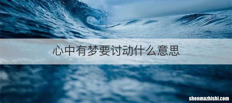 心中有梦要讨动什么意思