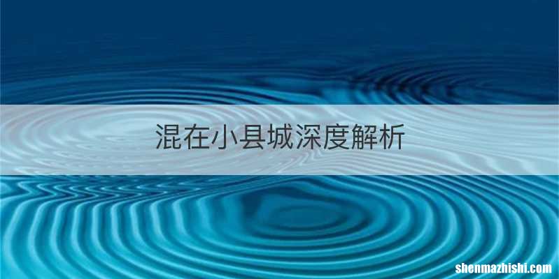 混在小县城深度解析