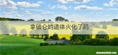 拿破仑的遗体火化了吗