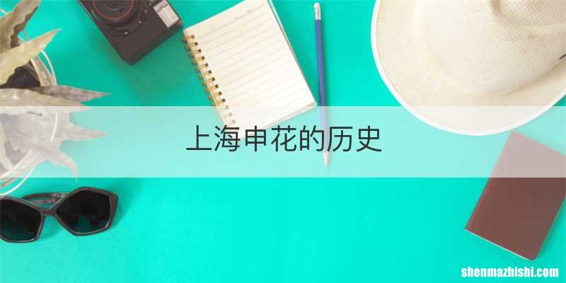 上海申花的历史
