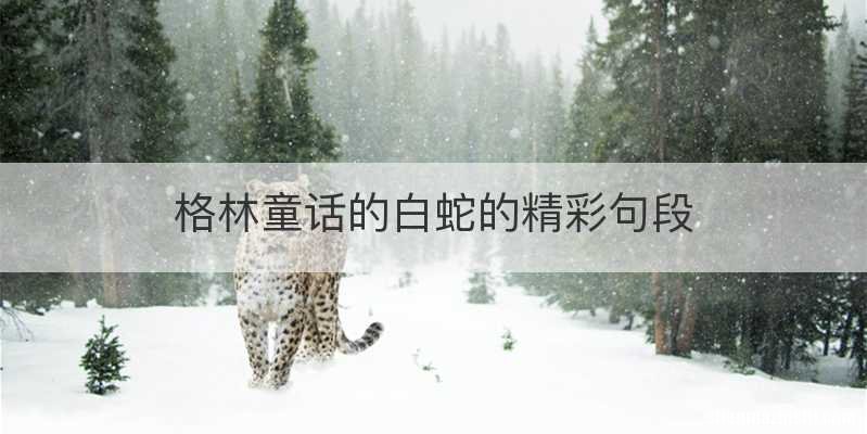 格林童话的白蛇的精彩句段