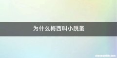 为什么梅西叫小跳蚤