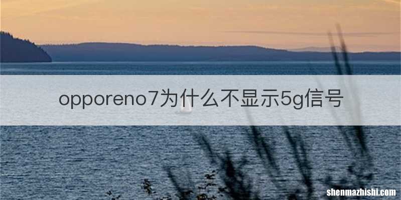 opporeno7为什么不显示5g信号