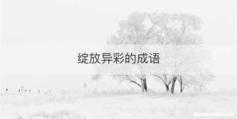 绽放异彩的成语