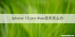 iphone 13 pro max丢失怎么办