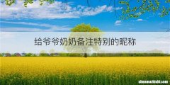 给爷爷奶奶备注特别的昵称