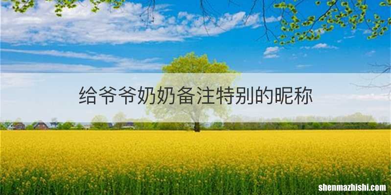 给爷爷奶奶备注特别的昵称