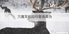 万魔耳机如何查询真伪