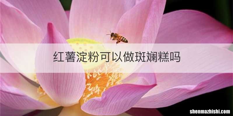 红薯淀粉可以做斑斓糕吗